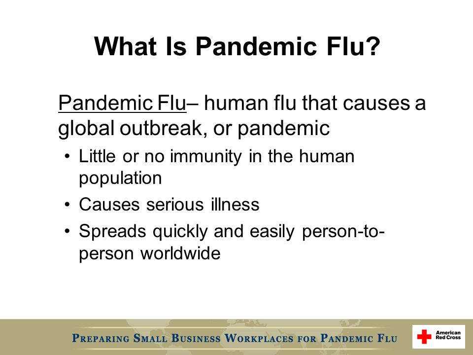 What Is Pandemic Flu.