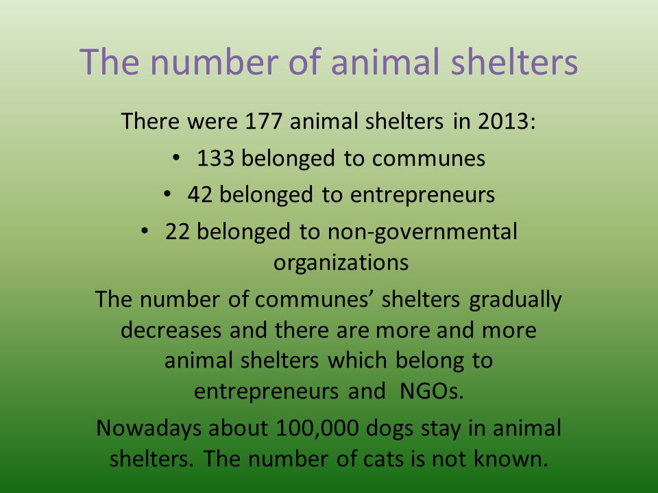 There were 177 animal shelters in 2013: 133 belonged to communes 42 belonged to entrepreneurs 22 belonged to non-governmental organizations The number of communes’ shelters gradually decreases and there are more and more animal shelters which belong to entrepreneurs and NGOs.