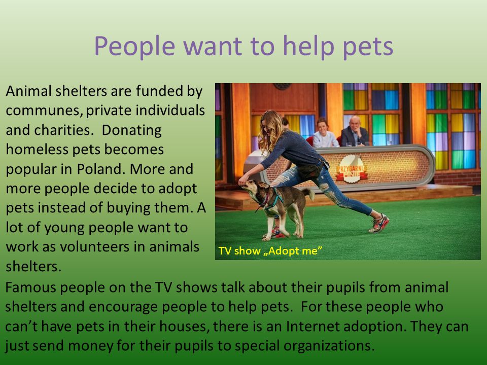 People want to help pets Animal shelters are funded by communes, private individuals and charities.