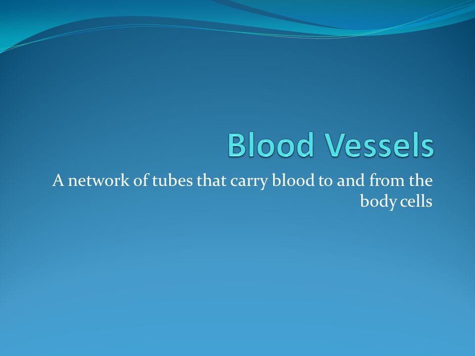 A network of tubes that carry blood to and from the body cells