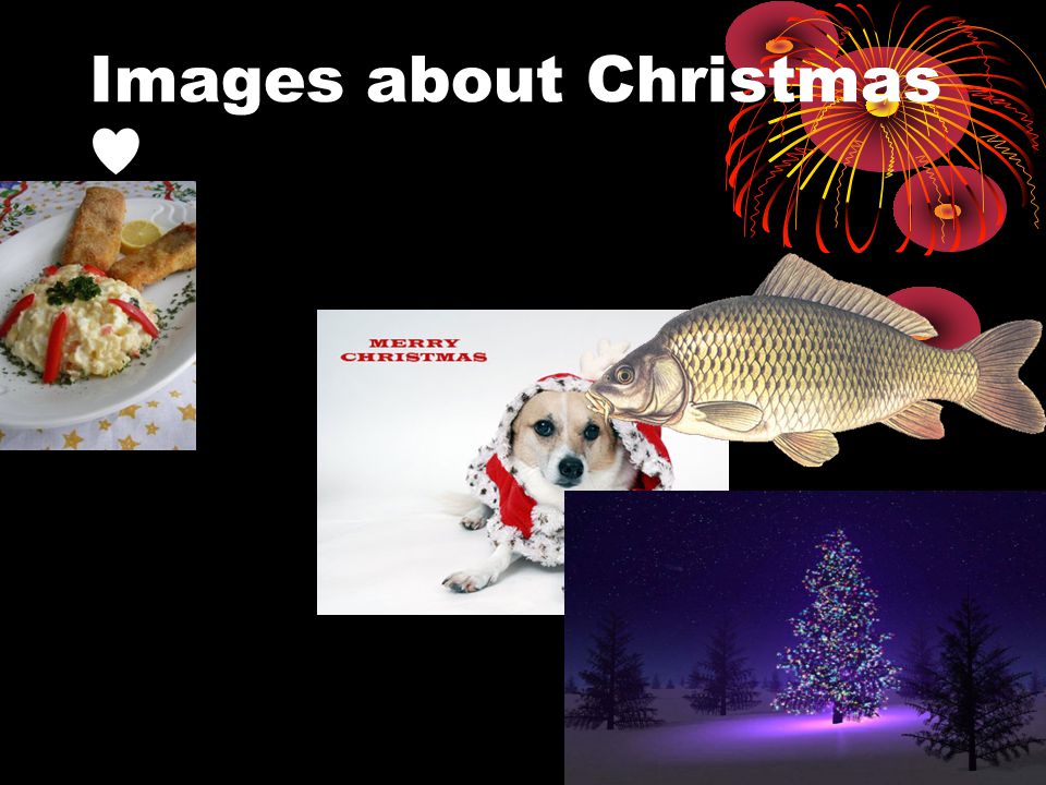 Images about Christmas ♥