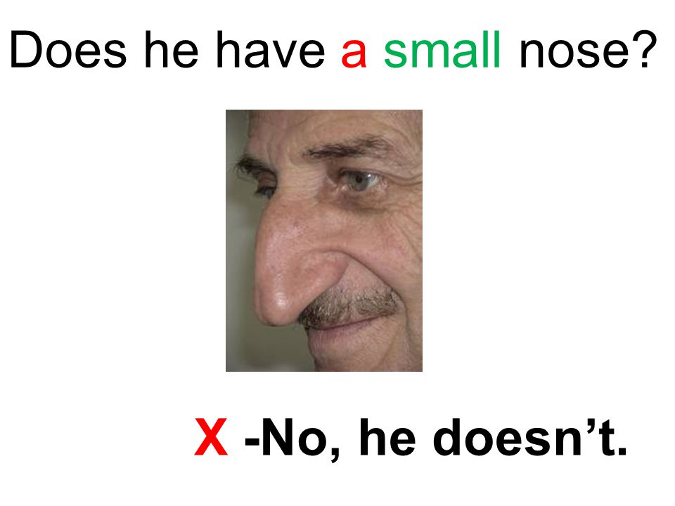 Does he have a small nose X -No, he doesn’t.