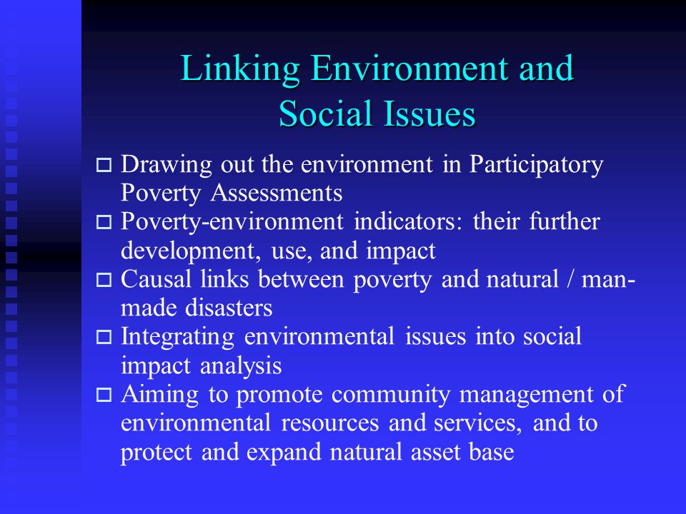 Linking Environment and Social Issues   Drawing out the environment in Participatory Poverty Assessments   Poverty-environment indicators: their further development, use, and impact   Causal links between poverty and natural / man- made disasters   Integrating environmental issues into social impact analysis   Aiming to promote community management of environmental resources and services, and to protect and expand natural asset base