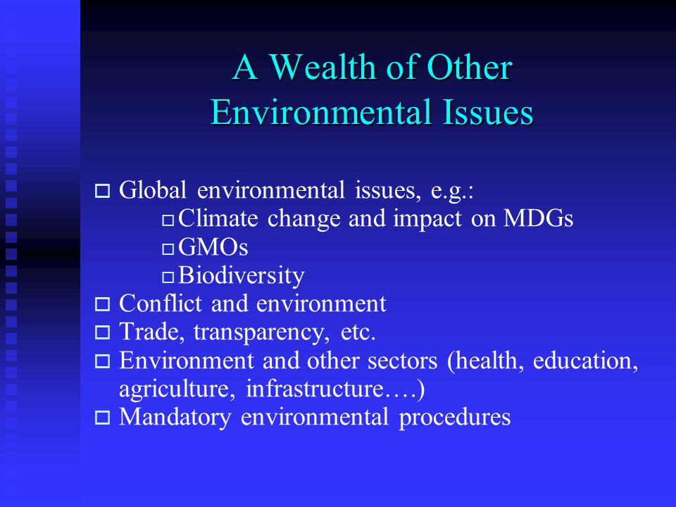 A Wealth of Other Environmental Issues   Global environmental issues, e.g.:   Climate change and impact on MDGs   GMOs   Biodiversity   Conflict and environment   Trade, transparency, etc.