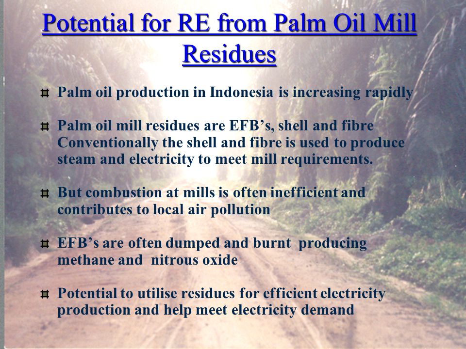 Potential for RE from Palm Oil Mill Residues Palm oil production in Indonesia is increasing rapidly Palm oil mill residues are EFB’s, shell and fibre Conventionally the shell and fibre is used to produce steam and electricity to meet mill requirements.
