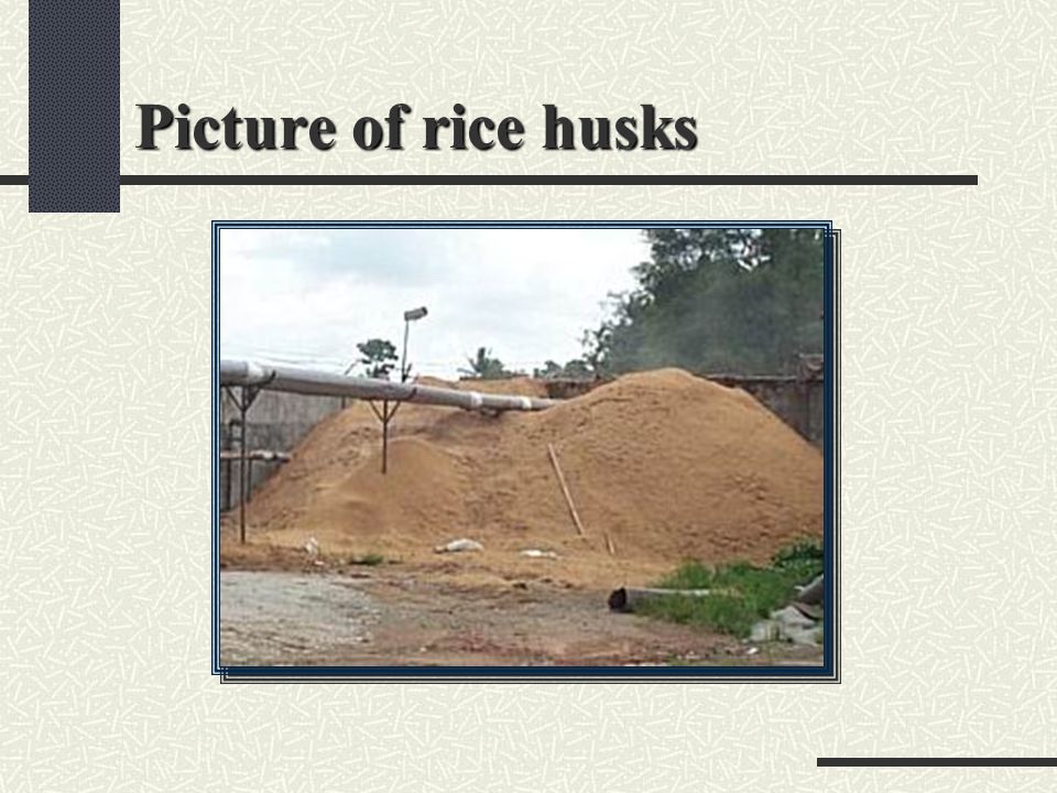 Picture of rice husks