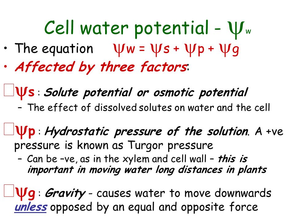 water formula equation 54346 infobit water potential formula
