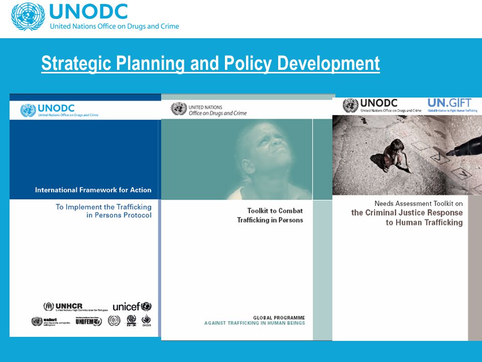 Strategic Planning and Policy Development