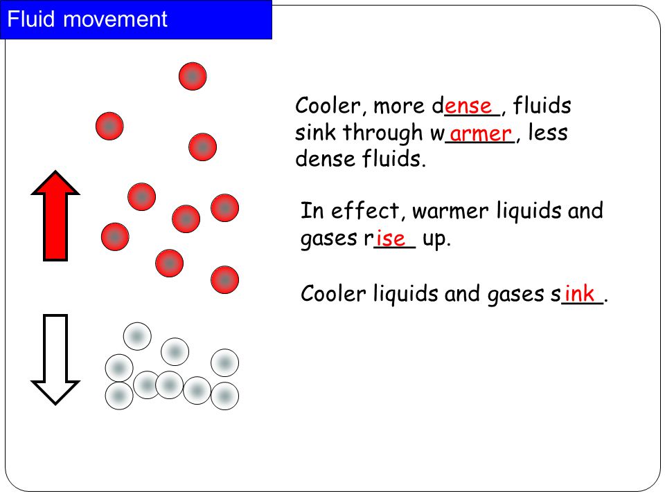Fluid movement Cooler, more d____, fluids sink through w_____, less dense fluids.