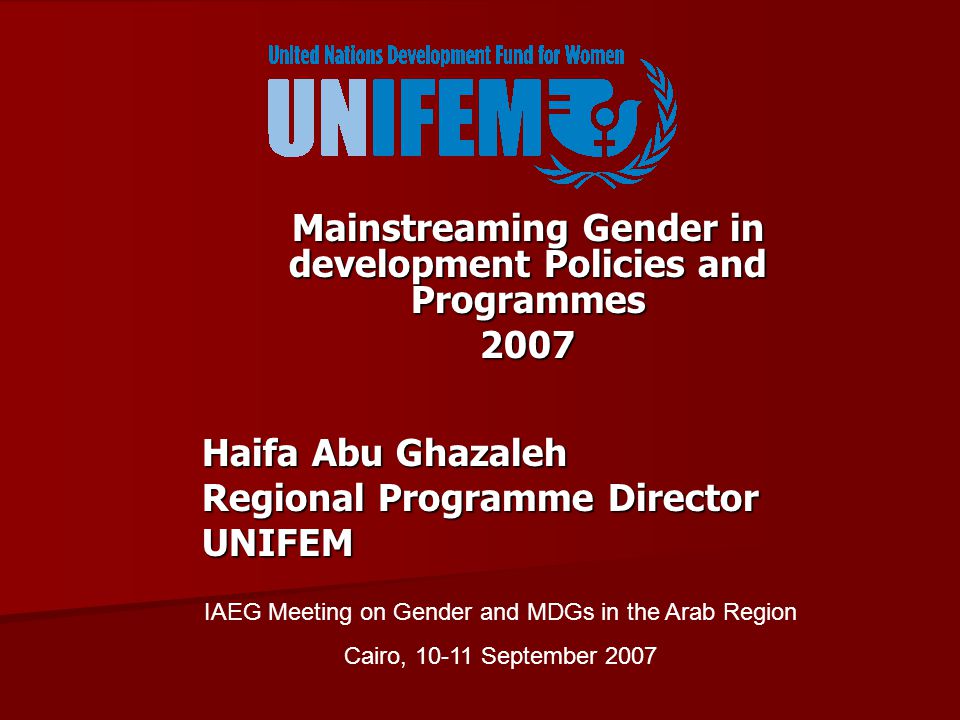 Mainstreaming Gender in development Policies and Programmes 2007 Haifa Abu Ghazaleh Regional Programme Director UNIFEM IAEG Meeting on Gender and MDGs in the Arab Region Cairo, September 2007