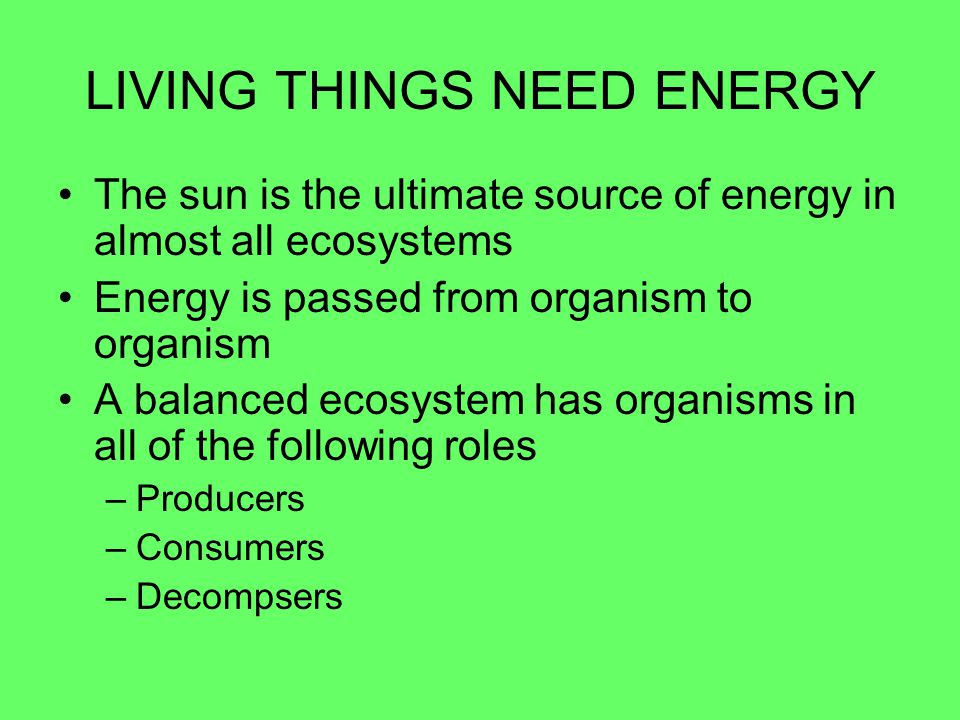 The environment is organized into 5 layers Organism –Single living thing Population –All the same kind of organism in one place at one time Community –All the different populations living in the same place at the same time Ecosystem –The community AND the abiotic parts of the environment Biosphere –All of the ecosystems throughout the Earth