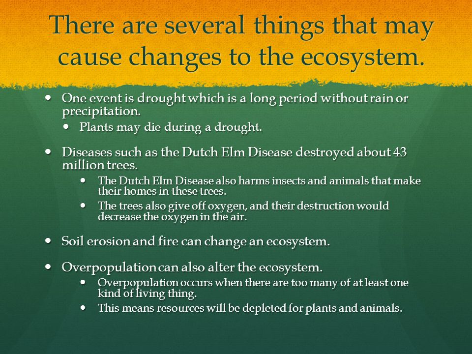 There are several things that may cause changes to the ecosystem.