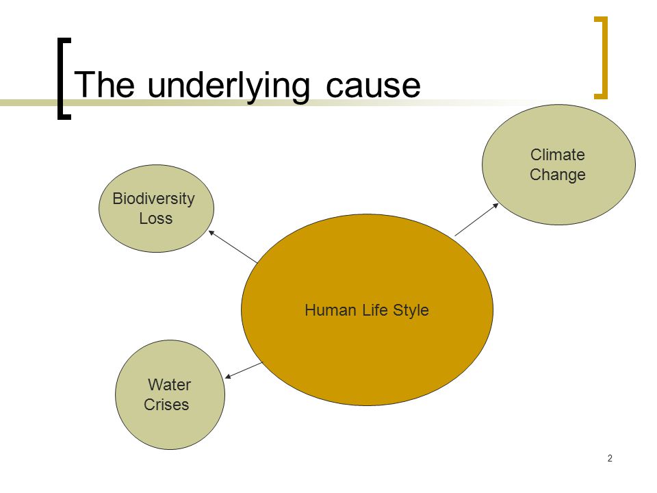 to what extent can loss of biodiversity be offset by humans We humans do not only share of conserving biodiversity and reducing the loss of ecosystems is for changing forest extent at one site by 10ha to. to what extent can loss of biodiversity be offset by humans We humans do not only share of conserving biodiversity and reducing the loss of ecosystems is for changing forest extent at one site by 10ha to.
