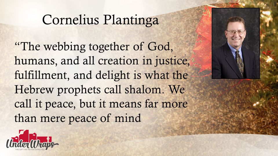 Cornelius Plantinga The webbing together of God, humans, and all creation in justice, fulfillment, and delight is what the Hebrew prophets call shalom.