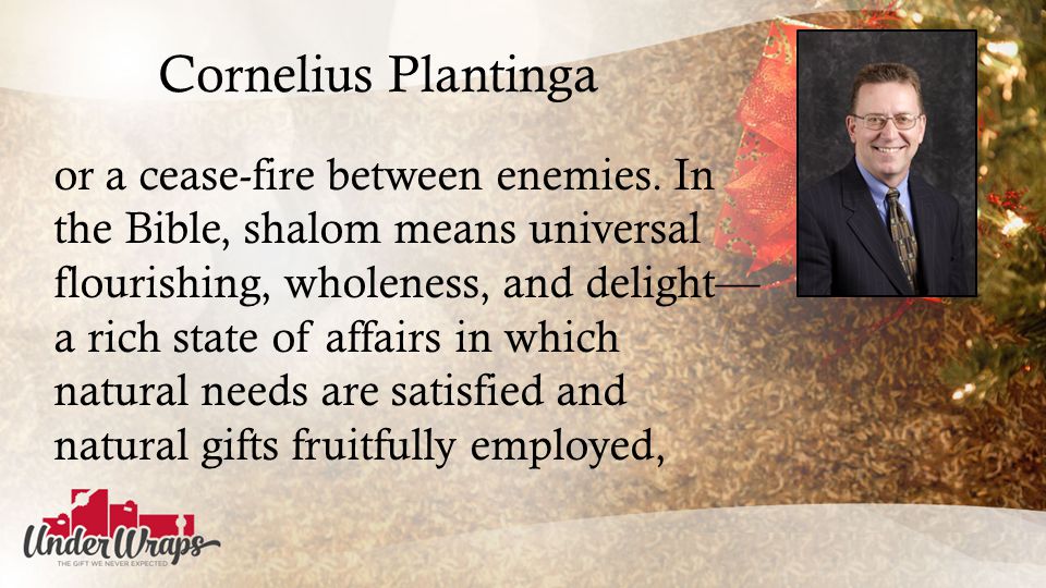 Cornelius Plantinga or a cease-fire between enemies.