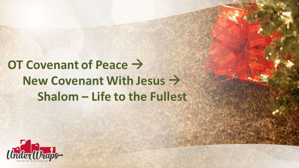 OT Covenant of Peace  New Covenant With Jesus  Shalom – Life to the Fullest