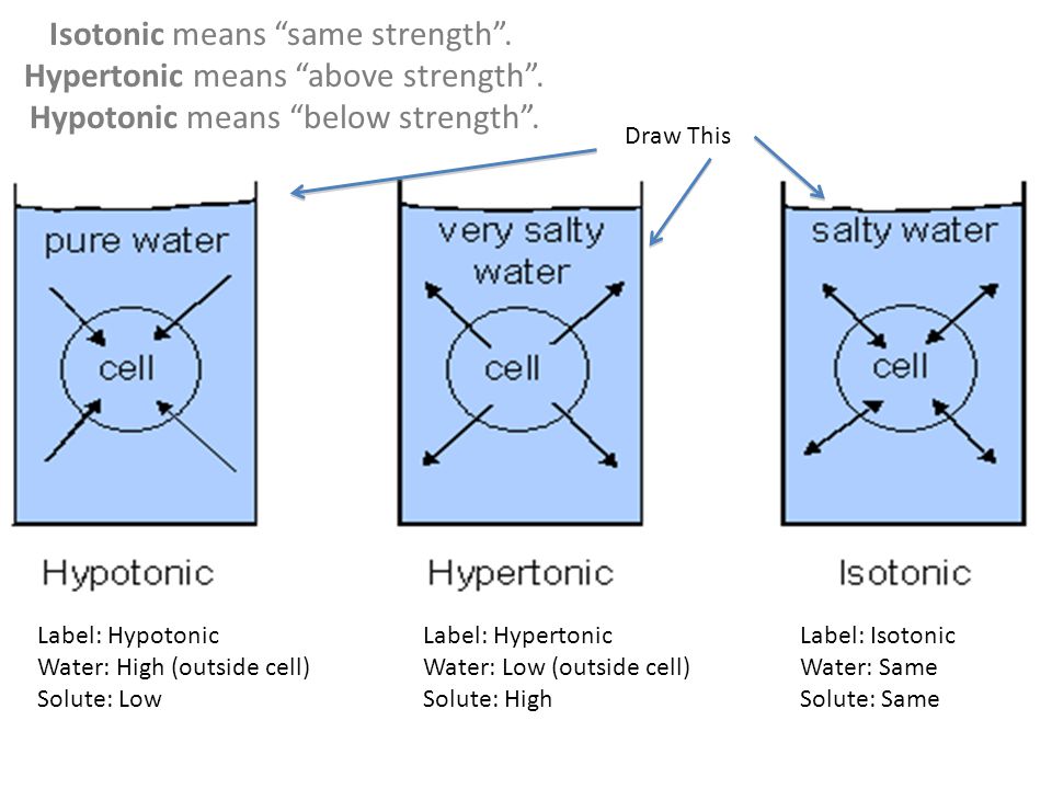 Science Fact Of The Day Human Heart Has Enough Pressure To 25 Isotonic