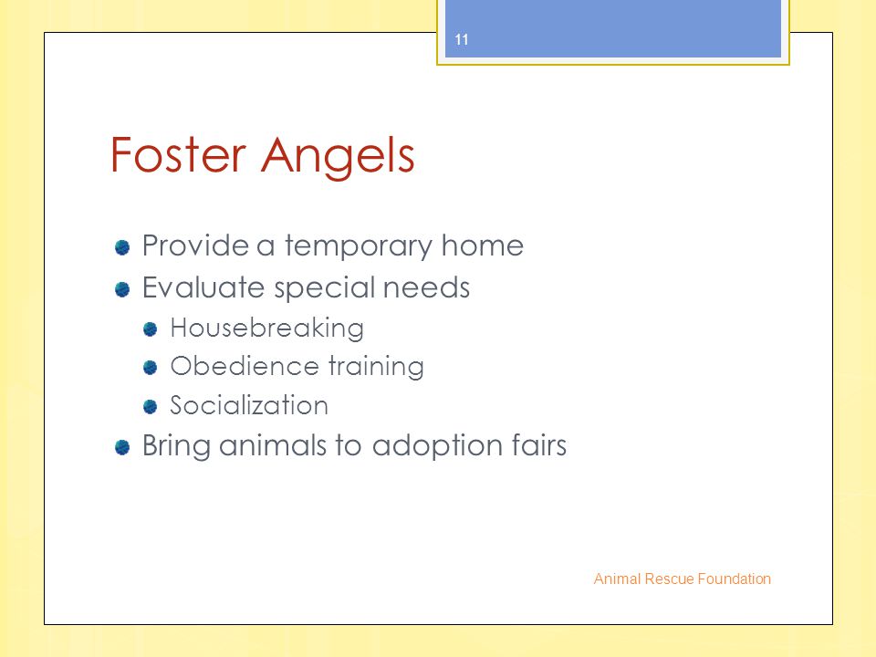 Foster Angels Provide a temporary home Evaluate special needs Housebreaking Obedience training Socialization Bring animals to adoption fairs Animal Rescue Foundation 11
