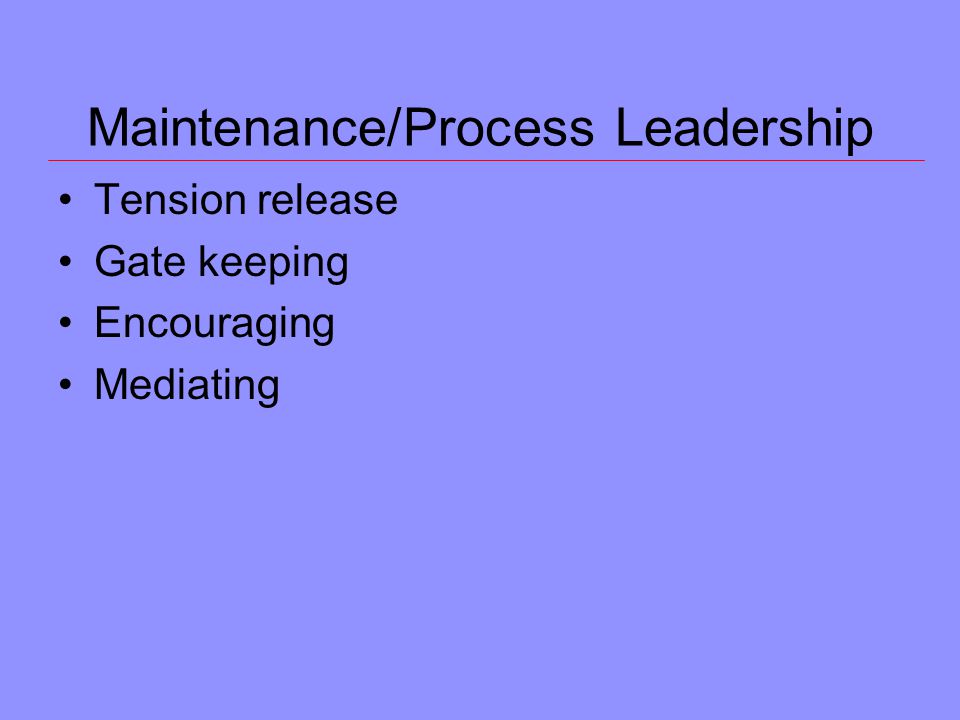 Maintenance/Process Leadership Tension release Gate keeping Encouraging Mediating