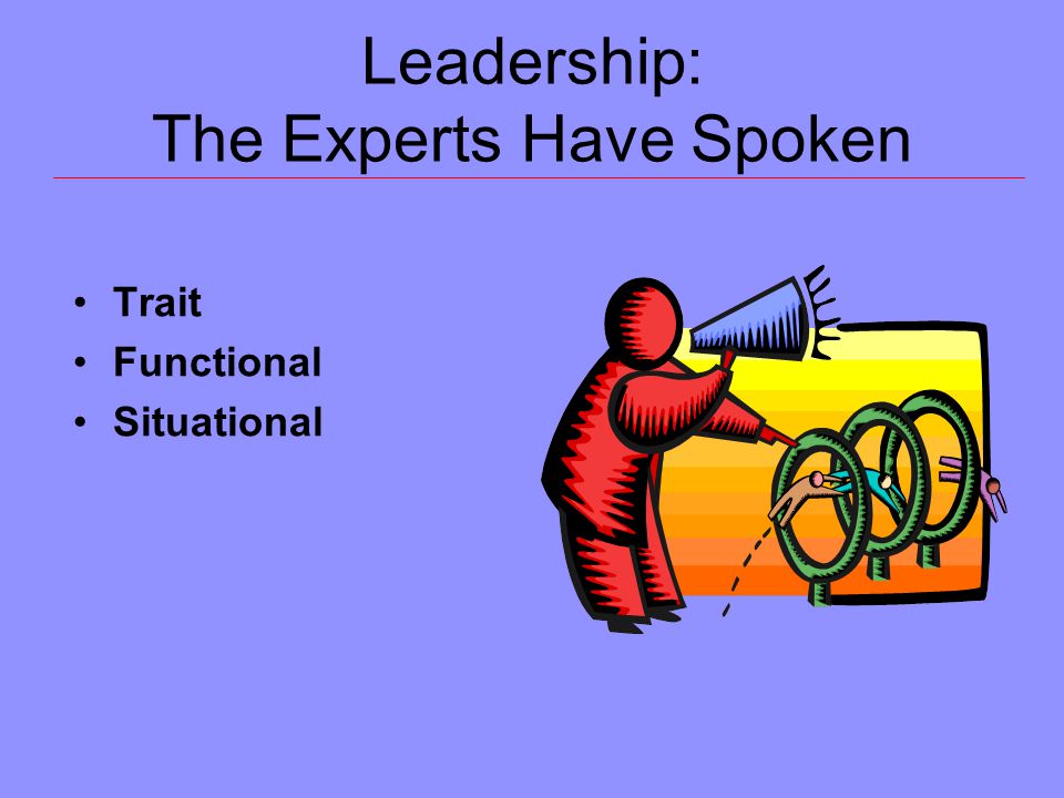 Leadership: The Experts Have Spoken Trait Functional Situational
