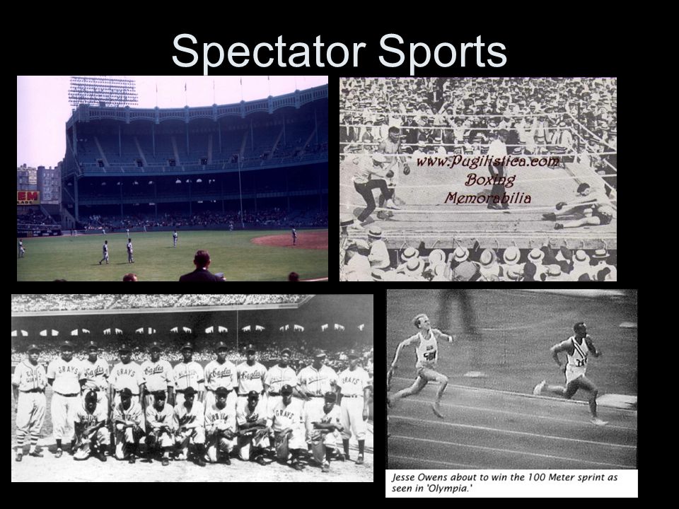 Spectator Sports