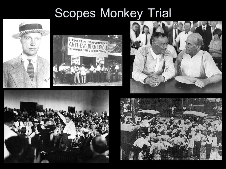 Scopes Monkey Trial