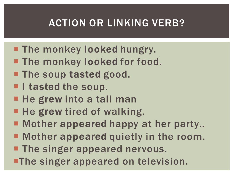  The monkey looked hungry.  The monkey looked for food.