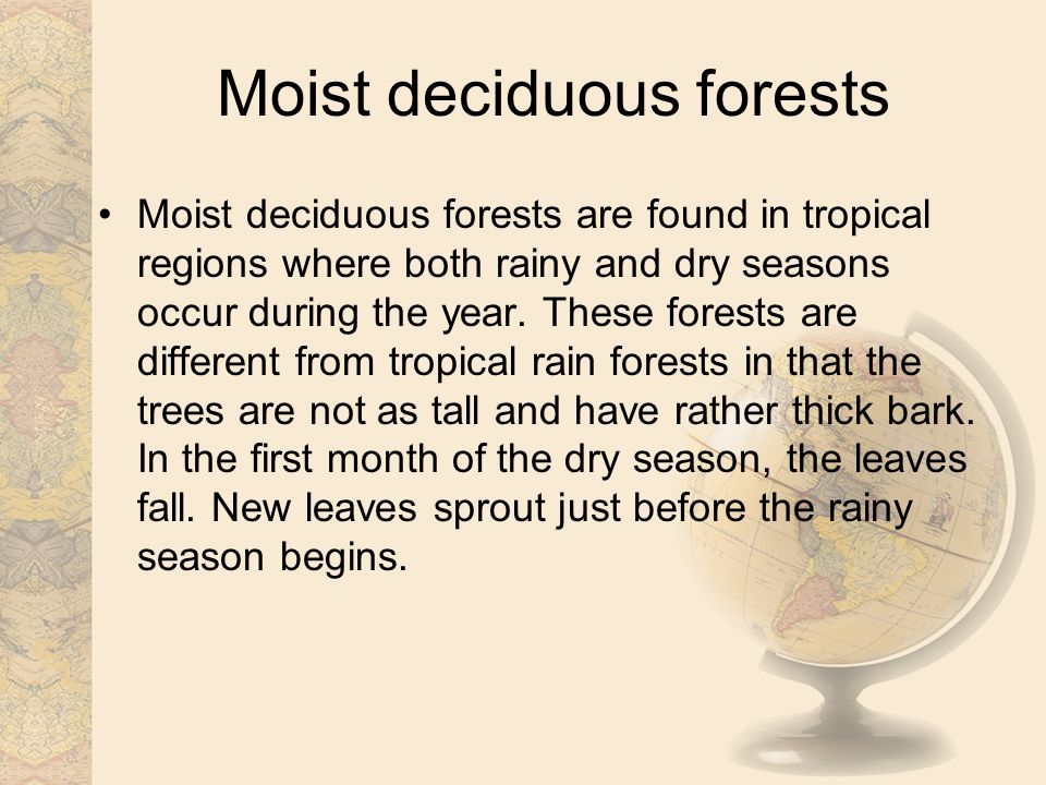 define tropical deciduous forest