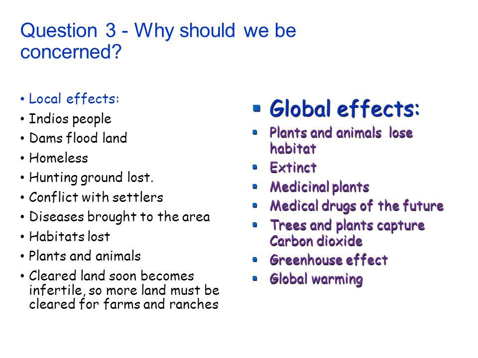 Global Warming Essay Writing