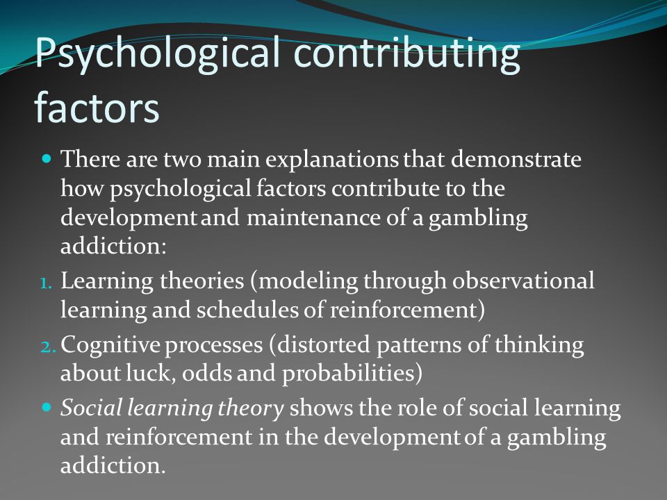 Gambling addiction animal models online casino operators