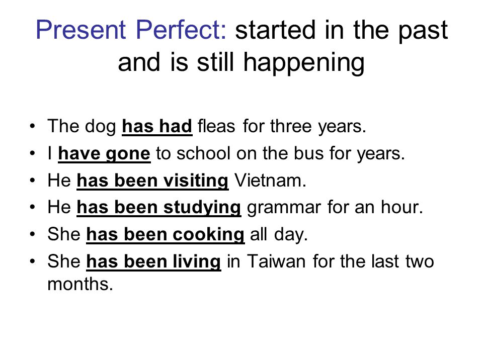 Present Perfect: started in the past and is still happening The dog has had fleas for three years.