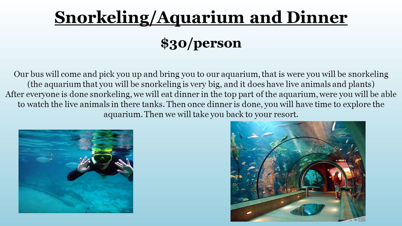 Snorkeling/Aquarium and Dinner $30/person Our bus will come and pick you up and bring you to our aquarium, that is were you will be snorkeling (the aquarium that you will be snorkeling is very big, and it does have live animals and plants) After everyone is done snorkeling, we will eat dinner in the top part of the aquarium, were you will be able to watch the live animals in there tanks.