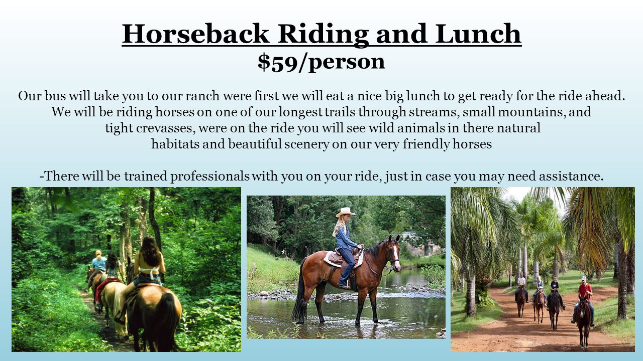 Horseback Riding and Lunch $59/person Our bus will take you to our ranch were first we will eat a nice big lunch to get ready for the ride ahead.