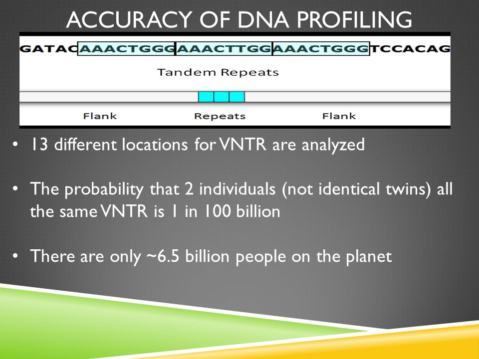 ACCURACY OF DNA PROFILING 13 different locations for VNTR are analyzed The probability that 2 individuals (not identical twins) all the same VNTR is 1 in 100 billion There are only ~6.5 billion people on the planet