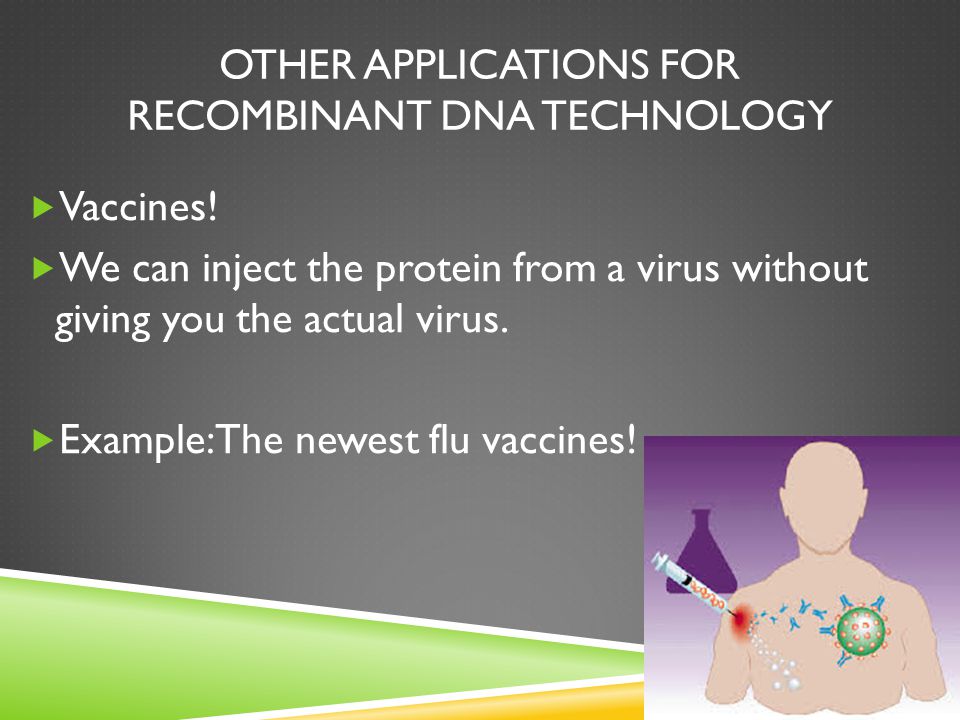 OTHER APPLICATIONS FOR RECOMBINANT DNA TECHNOLOGY  Vaccines.
