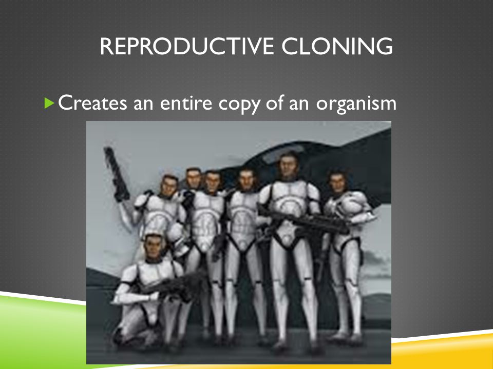 REPRODUCTIVE CLONING  Creates an entire copy of an organism