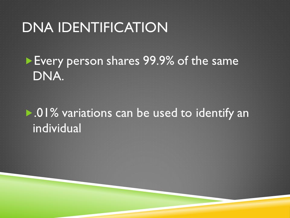 DNA IDENTIFICATION  Every person shares 99.9% of the same DNA.