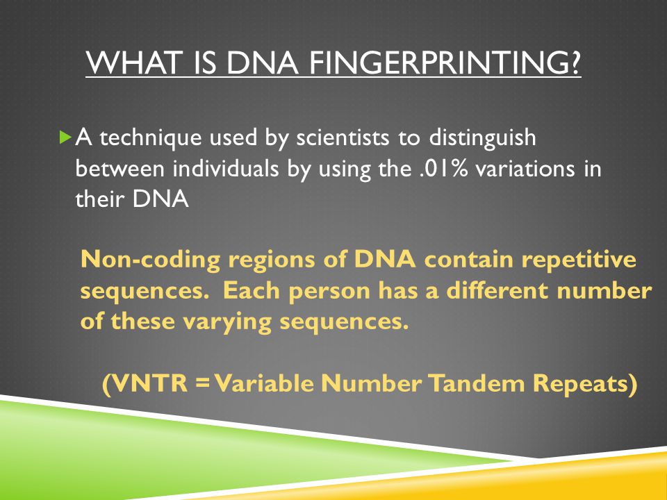 WHAT IS DNA FINGERPRINTING.