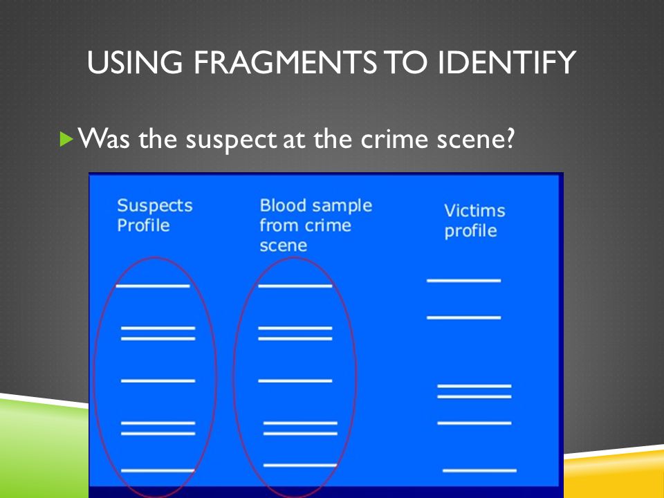 USING FRAGMENTS TO IDENTIFY  Was the suspect at the crime scene