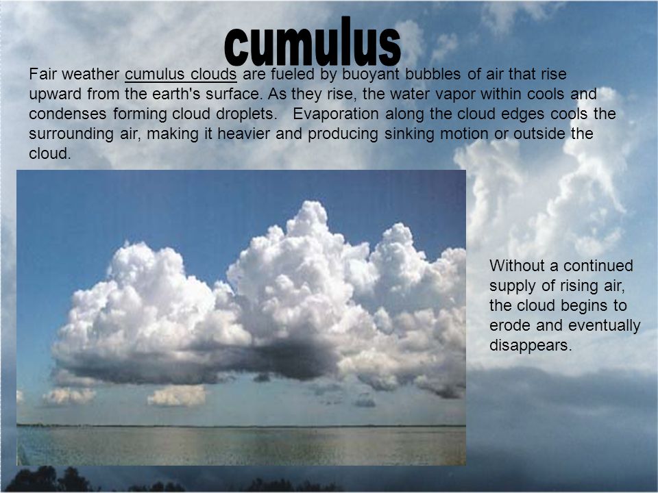 Fair weather cumulus clouds are fueled by buoyant bubbles of air that rise upward from the earth s surface.