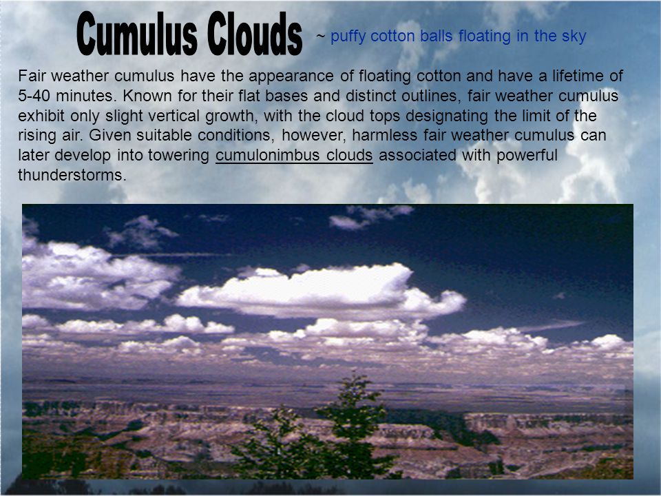 ~ puffy cotton balls floating in the sky Fair weather cumulus have the appearance of floating cotton and have a lifetime of 5-40 minutes.