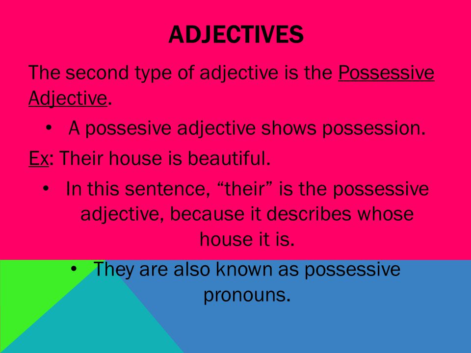 ADJECTIVES The second type of adjective is the Possessive Adjective.