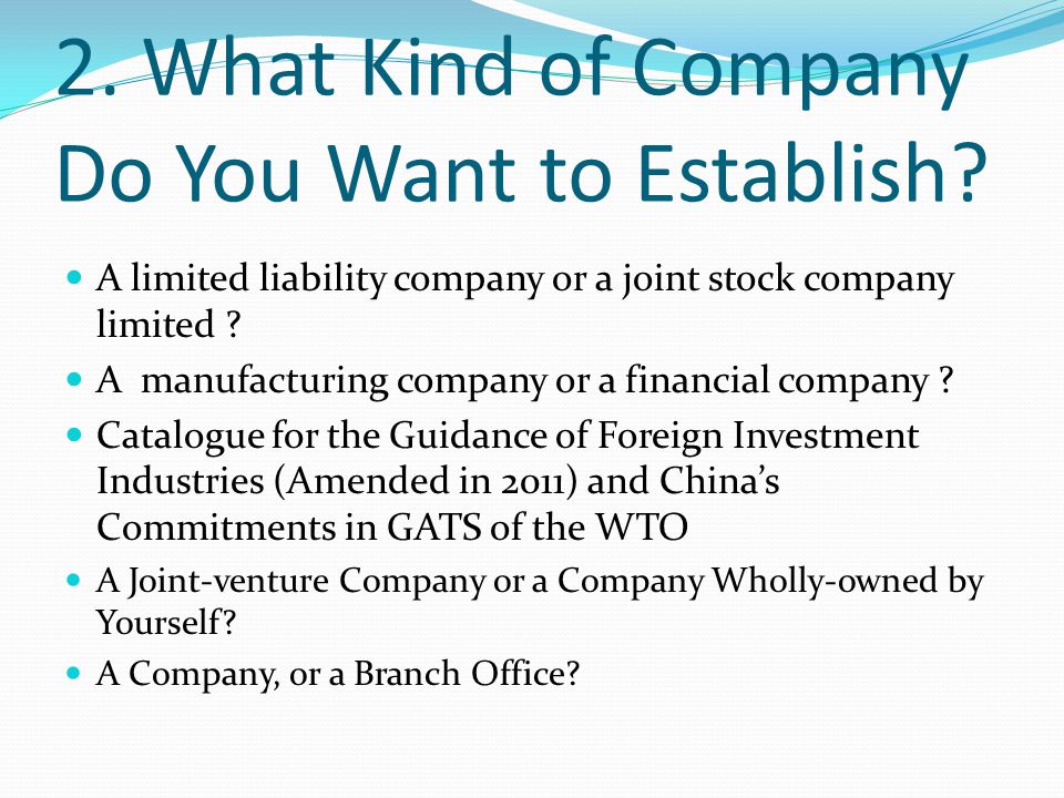 2. What Kind of Company Do You Want to Establish.