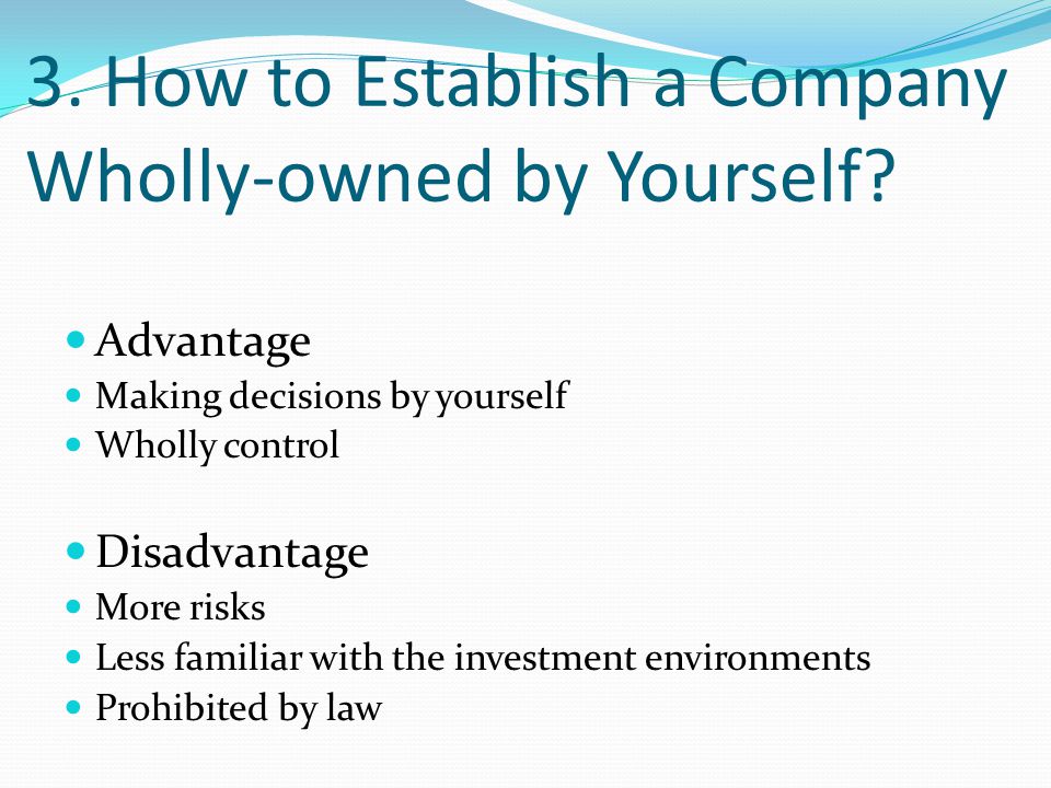 3. How to Establish a Company Wholly-owned by Yourself.