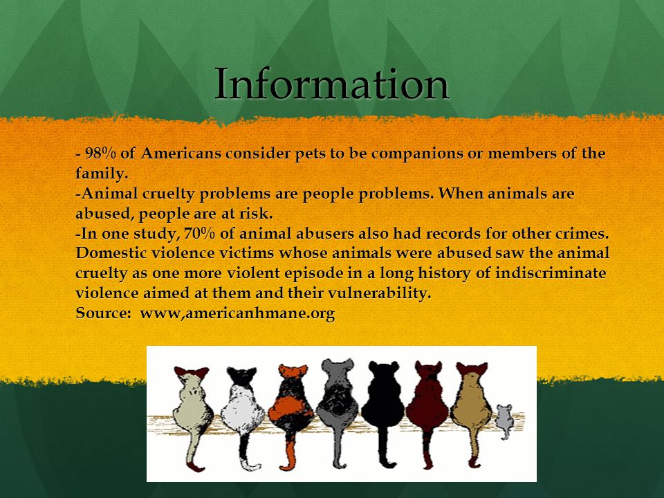 Information - 98% of Americans consider pets to be companions or members of the family.