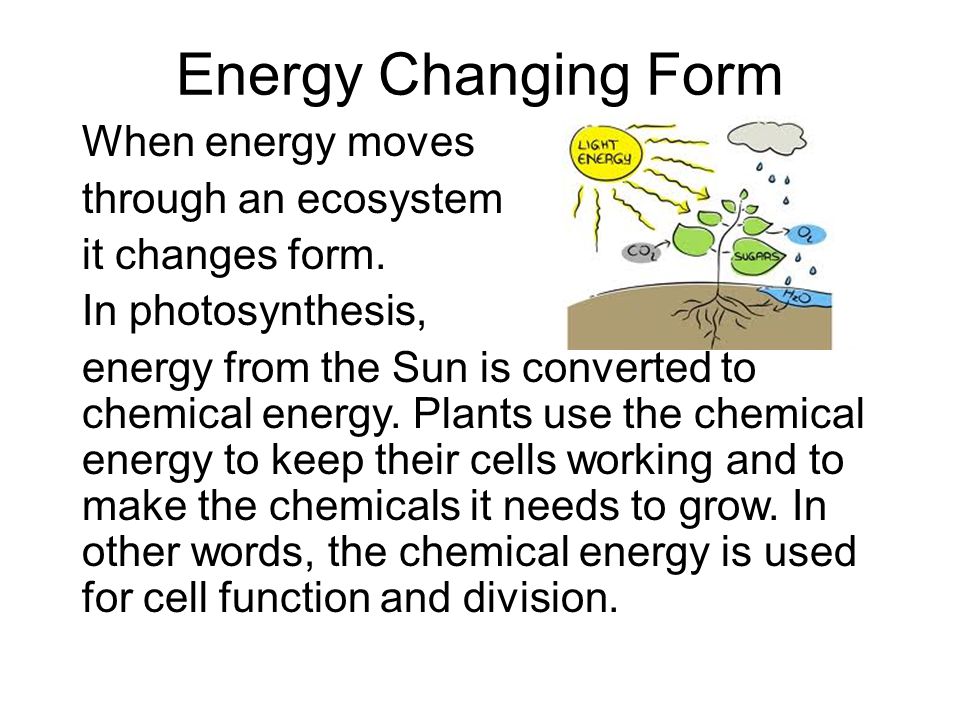 understanding how energy moves through windows How heat moves through homes — building science podcast windows, and roofs, it helps to understand heat in the form of electromagnetic energy moves through. understanding how energy moves through windows How heat moves through homes — building science podcast windows, and roofs, it helps to understand heat in the form of electromagnetic energy moves through.
