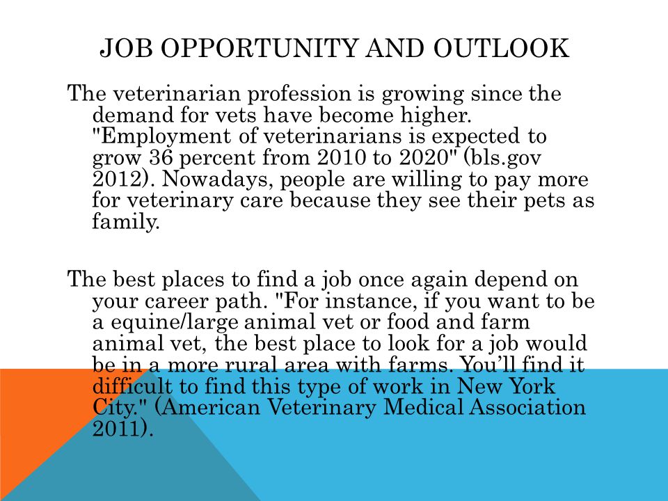 JOB OPPORTUNITY AND OUTLOOK The veterinarian profession is growing since the demand for vets have become higher.