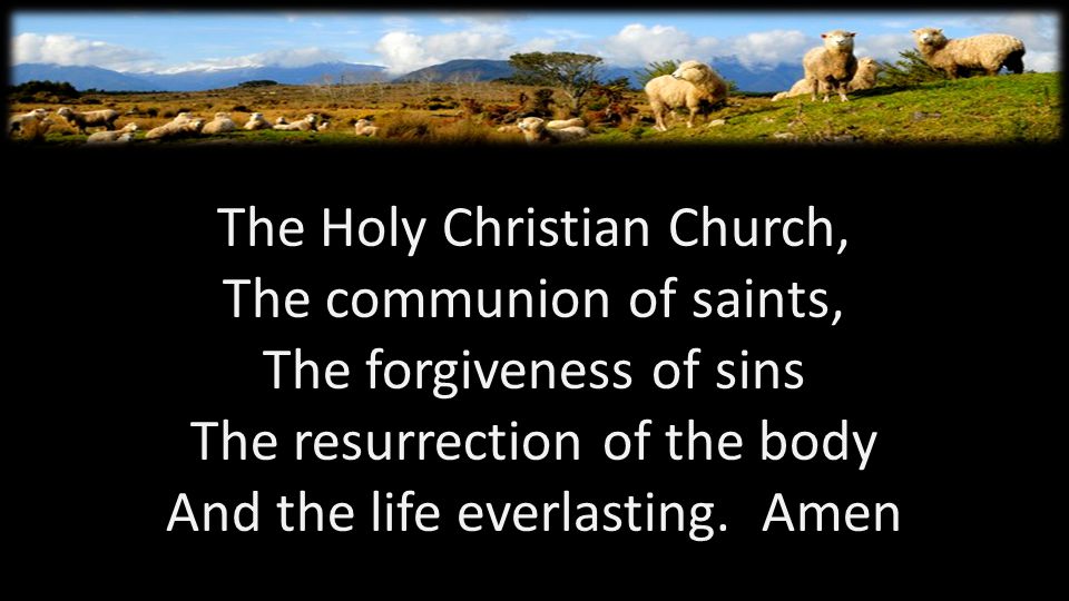 The Holy Christian Church, The communion of saints, The forgiveness of sins The resurrection of the body And the life everlasting.