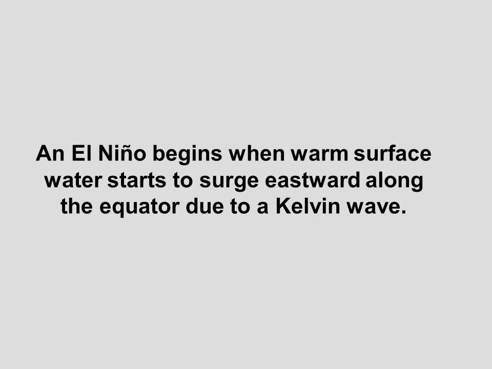 An El Niño begins when warm surface water starts to surge eastward along the equator due to a Kelvin wave.