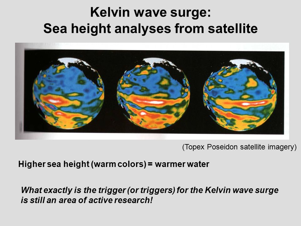 Kelvin wave surge: Sea height analyses from satellite (Topex Poseidon satellite imagery) What exactly is the trigger (or triggers) for the Kelvin wave surge is still an area of active research.